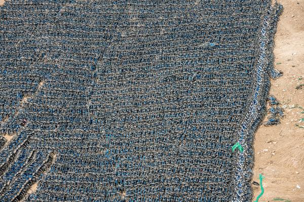 “希拉里”：中國(guó)在太陽(yáng)能和電動(dòng)車等領(lǐng)域的優(yōu)異成績(jī)令人深刻