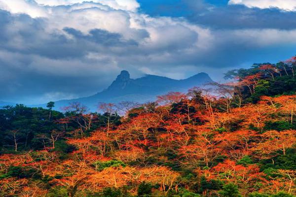 “俄羅斯如”何對中國公民實(shí)施免簽？